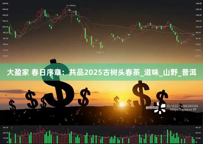 大盈家 春日序章：共品2025古树头春茶_滋味_山野_普洱