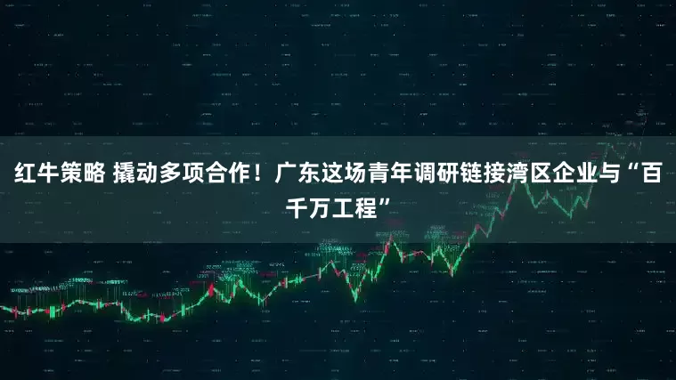 红牛策略 撬动多项合作！广东这场青年调研链接湾区企业与“百千万工程”