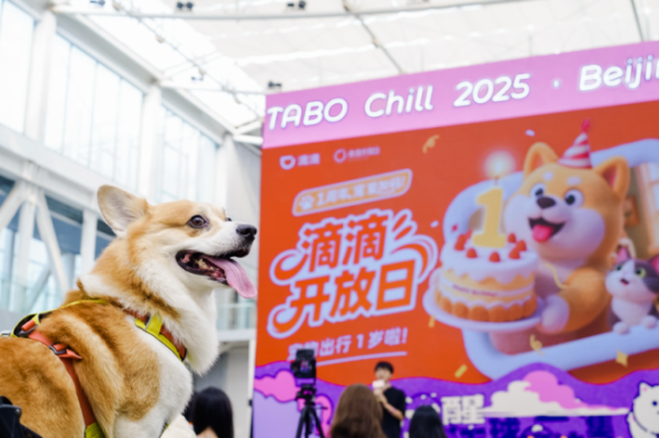 泸深在线 滴滴开放日：宠物出行一周年 闪现北京它博集